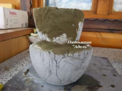 как сделать вазу из цемента